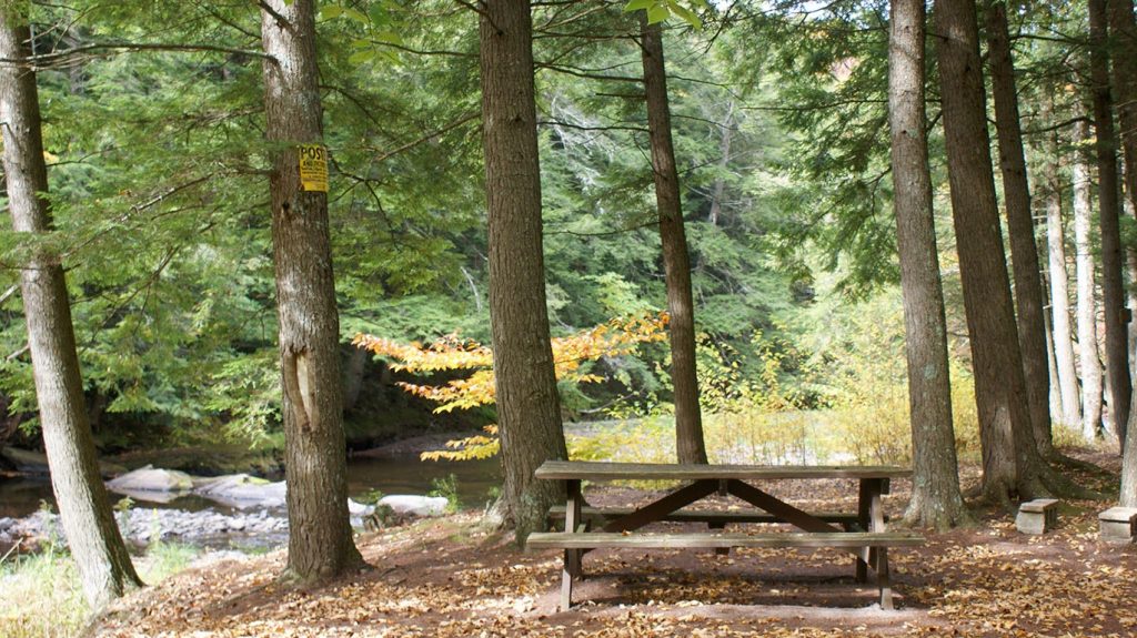 Picnic bench along hiking trail
